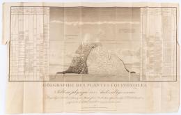 183   -  <p><span class="description">Mapa de los Andes. Humboldt, 1805</span></p>