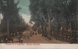 43   -  <p><span class="description">Avenida de la República Bogotá ca 1900s</span></p>