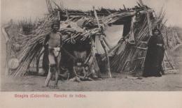 82   -  <p><span class="description">Rancho de Indios Guajira ca 1900s</span></p>