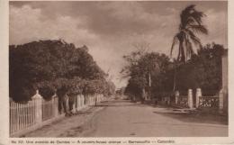 92   -  <p><span class="description">Una avenida de Quintas Barranquilla ca 1920s</span></p>