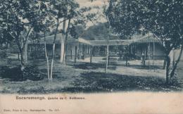 142   -  <p><span class="description">Quinta de C. Hoffmann Bucaramanga ca 1900s</span></p>