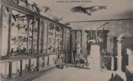 183   -  <p><span class="description">San Bartolomé Museo Historia Natural Bogotá ca 1910s</span></p>