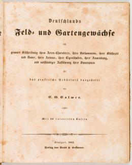 8   -  <span class="object_title">[Plantas de campo y jardín] 1852</span>. 