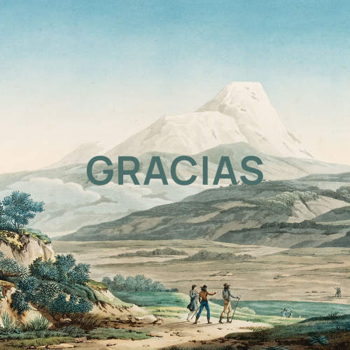 ¡Gracias!