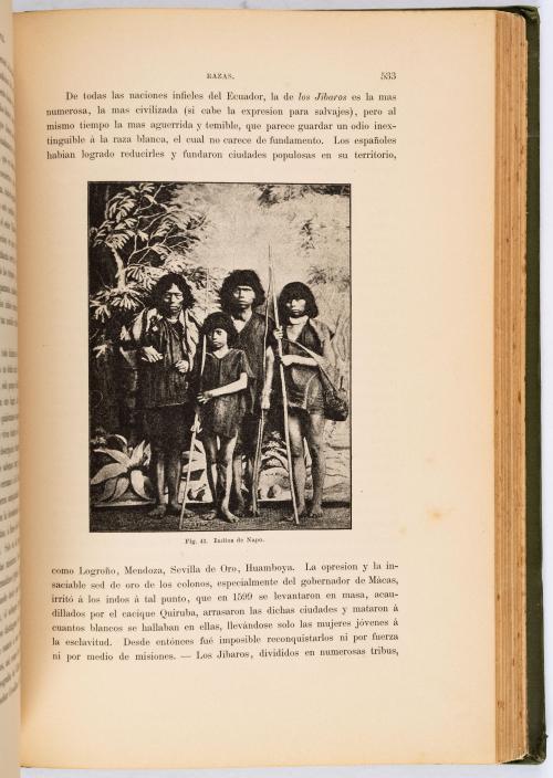 Wolf, Teodoro (Wolf, Franz Theodor) : Geografía y geología