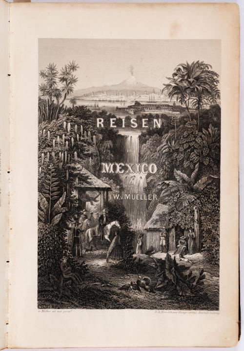 Bartholomäus Heller, Carl  : Reisen in Mexico 