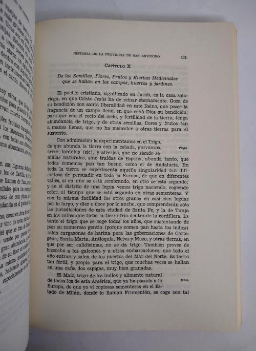 Zamora, Fray Alonso de : Historia de la provincia de San An