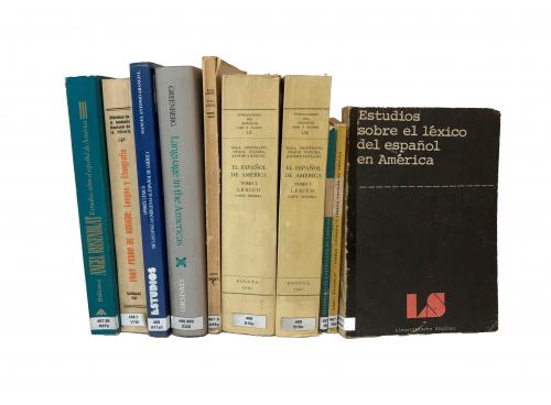 El español en América-Variaciones de la lengua 1