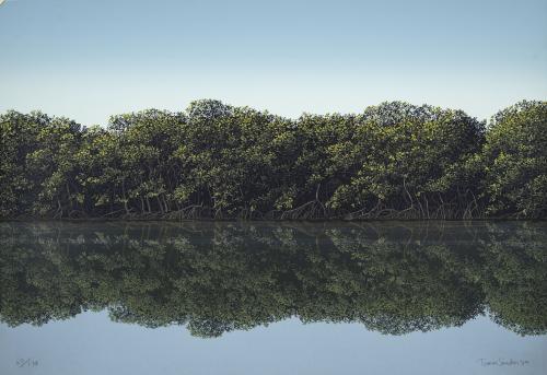 Tomás Sánchez Cuba, 1948 : [Manglar] de la carpeta Imagen e