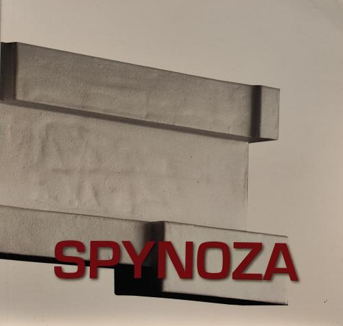 Intergraficas S.A. : Spynoza: 1987-2006 