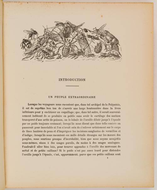 Fabre, Jean Henri : Le monde merveilleux des insectes [Ilus