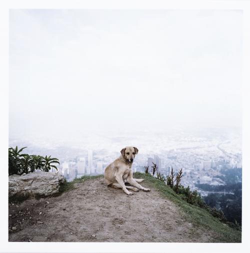 Alec Soth Estados Unidos, 1969 : Bogotá