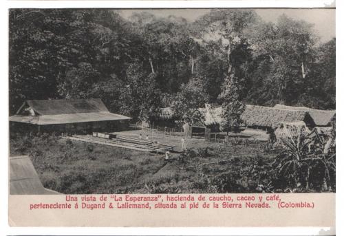 Una vista de La Esperanza, hacienda de caucho, cacao y café