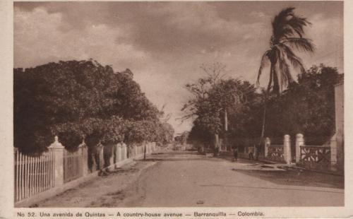 Una avenida de Quintas (Barranquilla)